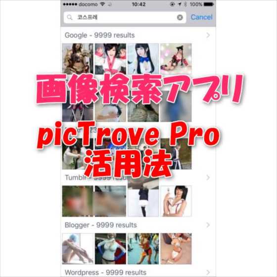 Iphone Android 画像検索アプリ Pictrove Pro と Google翻訳 コンボで世界中の美少女写真を現地語で探す方法 レビュー スマホlaboホンテン