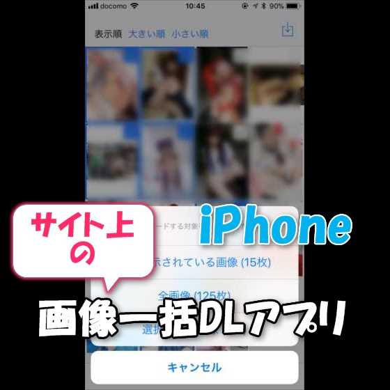 Iphone Webページ上に表示されている大量の画像をカメラロール外に一括ダウンロード保存するアプリ Image Downloader Viewer使い方 スマホlaboホンテン