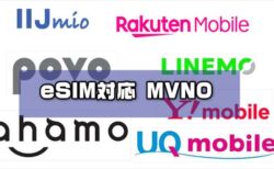 【2023年10月版】eSIMに対応している格安SIM（MVNO）会社・携帯キャリアの特色とプラン！お得なDSDS組み合わせまとめ・比較