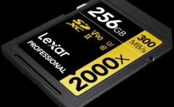 【Lexar】プロフェッショナル向けUHS-II SDXCカードに  256GB容量モデルを追加